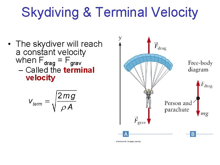 Skydiving & Terminal Velocity • The skydiver will reach a constant velocity when Fdrag