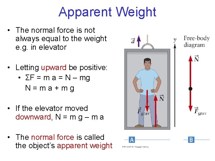 Apparent Weight • The normal force is not always equal to the weight e.