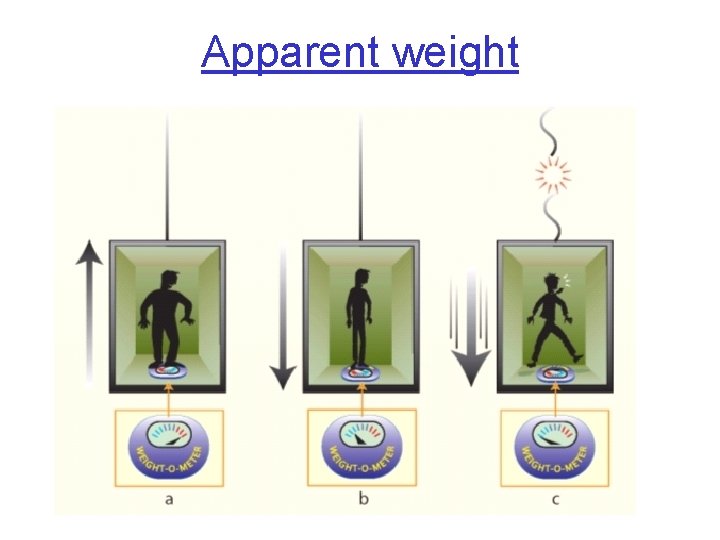 Apparent weight 
