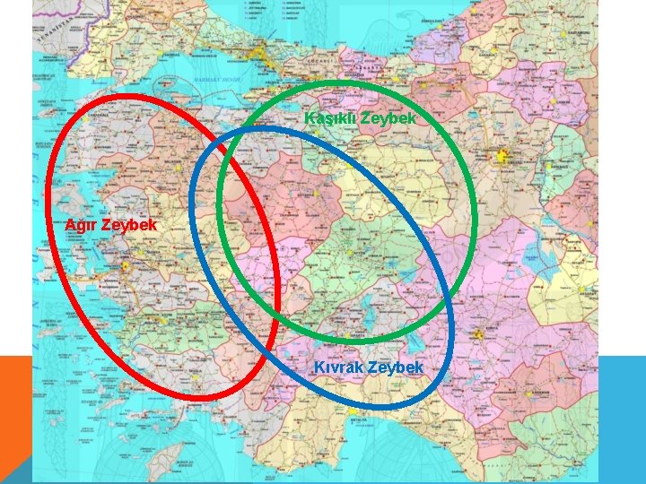 Kaşıklı Zeybek Ağır Zeybek Kıvrak Zeybek Kaşıklı Zeybek Ağır Zeybek Kıvrak Zeybek