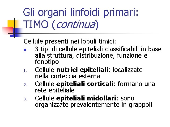 Gli organi linfoidi primari: TIMO (continua) Cellule presenti nei lobuli timici: n 3 tipi