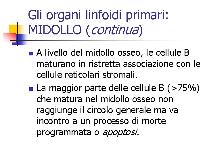 Gli organi linfoidi primari: MIDOLLO (continua) n n A livello del midollo osseo, le