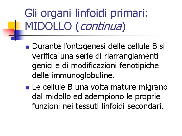 Gli organi linfoidi primari: MIDOLLO (continua) n n Durante l’ontogenesi delle cellule B si