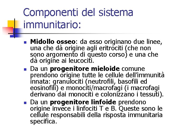 Componenti del sistema immunitario: n n n Midollo osseo: da esso originano due linee,