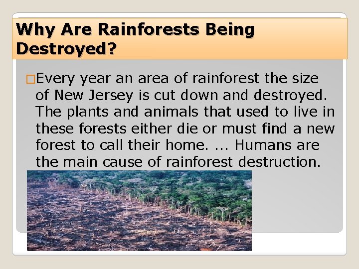 Why Are Rainforests Being Destroyed? �Every year an area of rainforest the size of