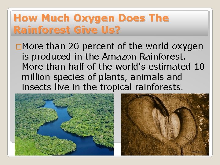 How Much Oxygen Does The Rainforest Give Us? �More than 20 percent of the