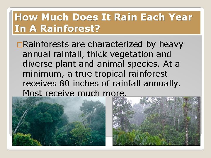 How Much Does It Rain Each Year In A Rainforest? �Rainforests are characterized by