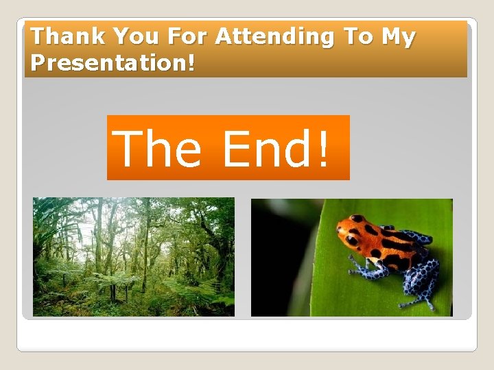Thank You For Attending To My Presentation! The End! 