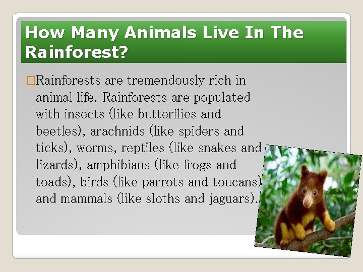 How Many Animals Live In The Rainforest? �Rainforests are tremendously rich in animal life.