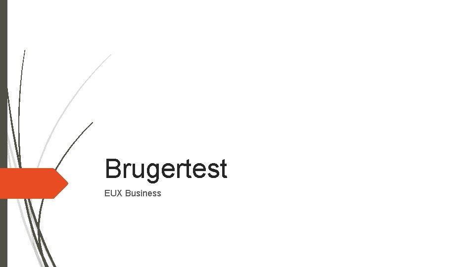 Brugertest EUX Business 