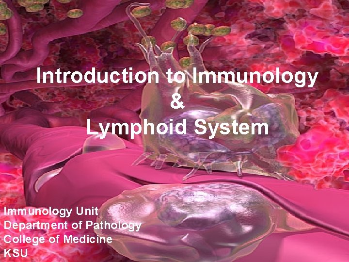 Introduction to Immunology & Lymphoid System Immunology Unit Department of Pathology College of Medicine