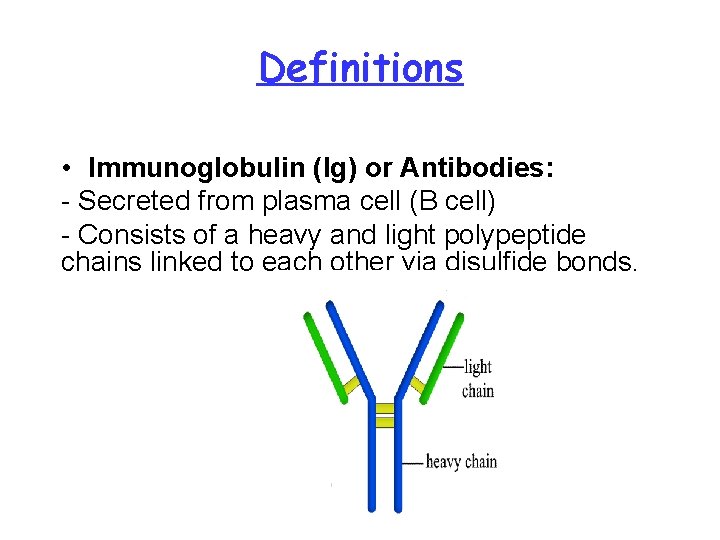 Definitions • Immunoglobulin (Ig) or Antibodies: - Secreted from plasma cell (B cell) -