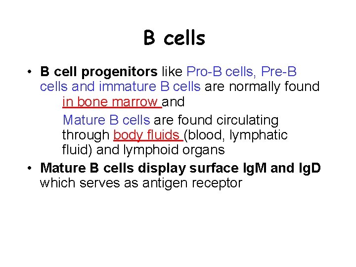 B cells • B cell progenitors like Pro-B cells, Pre-B cells and immature B