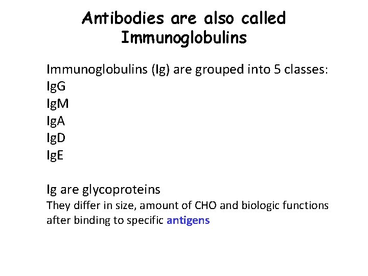 Antibodies are also called Immunoglobulins (Ig) are grouped into 5 classes: Ig. G Ig.