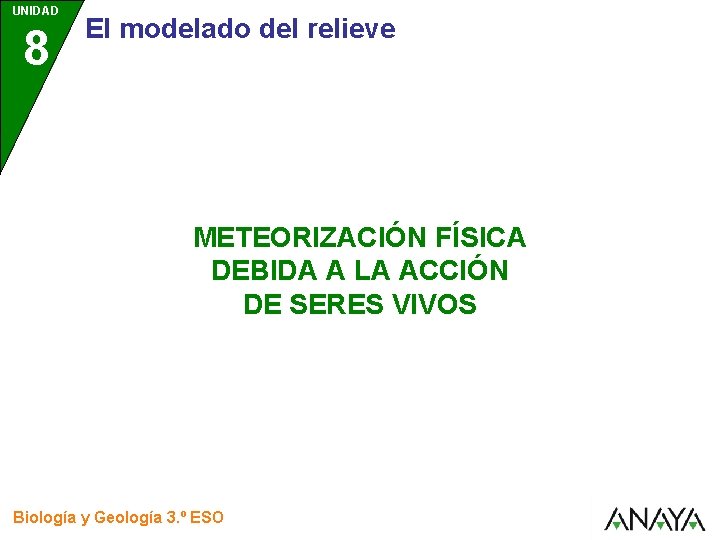 UNIDAD 8 El modelado del relieve METEORIZACIÓN FÍSICA DEBIDA A LA ACCIÓN DE SERES