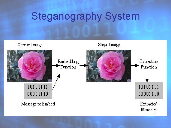 Steganography System 