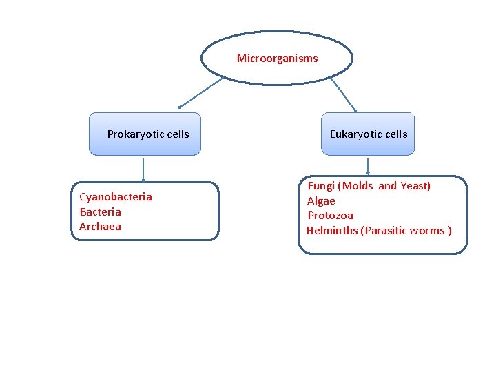 Microorganisms Prokaryotic cells Cyanobacteria Bacteria Archaea Eukaryotic cells Fungi (Molds and Yeast) Algae Protozoa