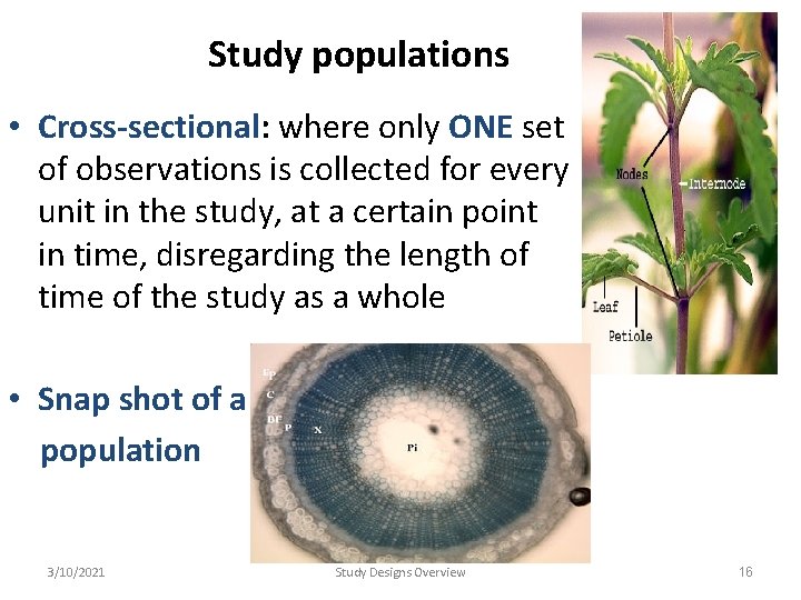 Study populations • Cross-sectional: where only ONE set of observations is collected for every Study populations • Cross-sectional: where only ONE set of observations is collected for every