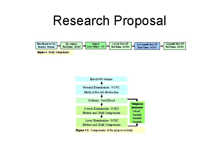 Research Proposal Enrollment (n=50) Bariatric Patients Pre-surgery Full Exam GCRC Surgery Liver Biopsy OR