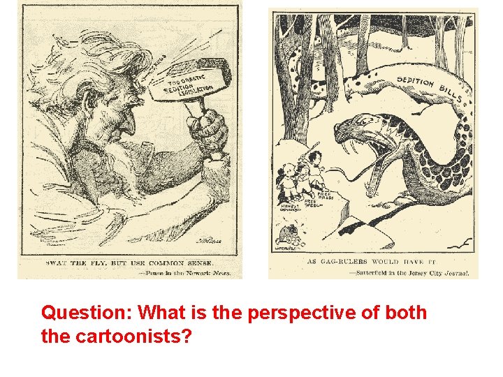 Question: What is the perspective of both the cartoonists? 