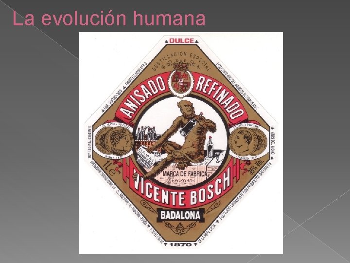 La evolución humana 