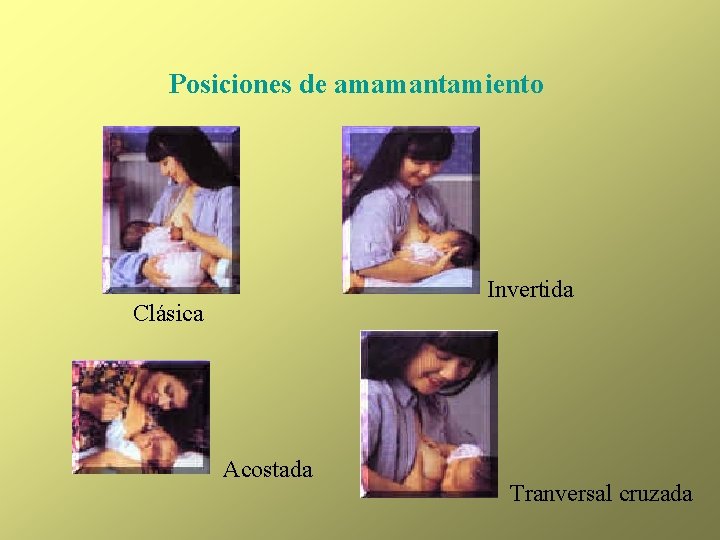 Posiciones de amamantamiento Invertida Clásica Acostada Tranversal cruzada 