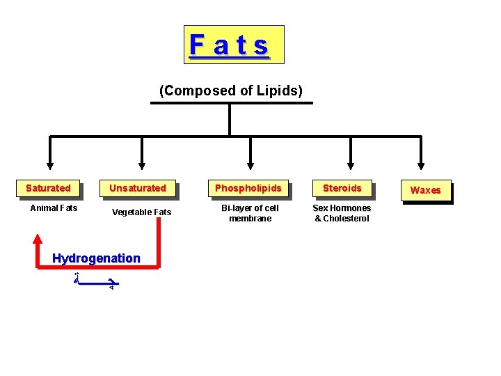 Fats (Composed of Lipids) Saturated Unsaturated Animal Fats Vegetable Fats Hydrogenation ـﭽــــﺔ Phospholipids Steroids