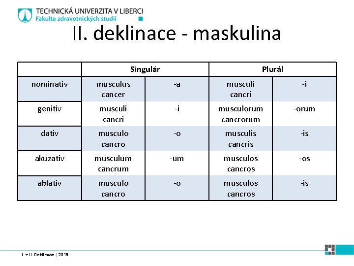 II. deklinace - maskulina Singulár Plurál nominativ musculus cancer -a musculi cancri -i genitiv