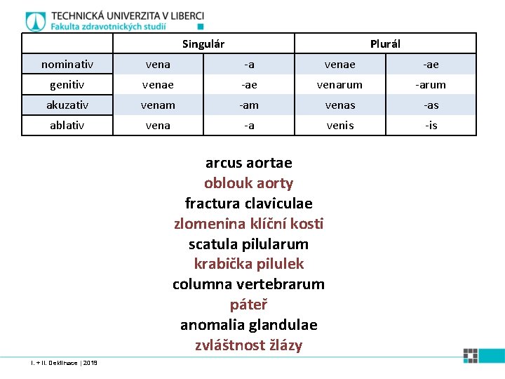 Singulár Plurál nominativ vena -a venae -ae genitiv venae -ae venarum -arum akuzativ venam