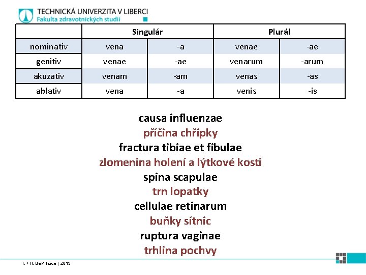 Singulár Plurál nominativ vena -a venae -ae genitiv venae -ae venarum -arum akuzativ venam