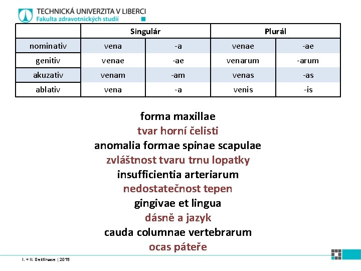 Singulár Plurál nominativ vena -a venae -ae genitiv venae -ae venarum -arum akuzativ venam