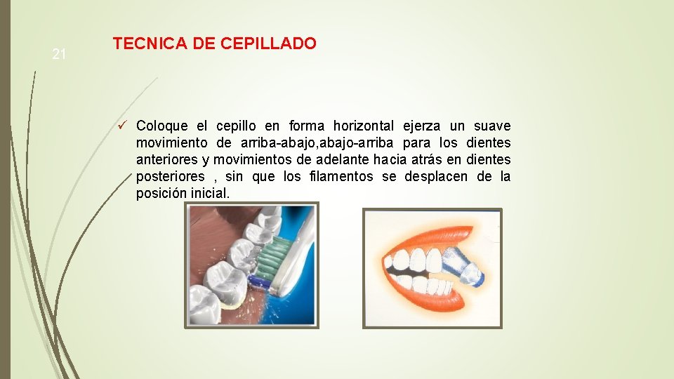 21 TECNICA DE CEPILLADO ü Coloque el cepillo en forma horizontal ejerza un suave