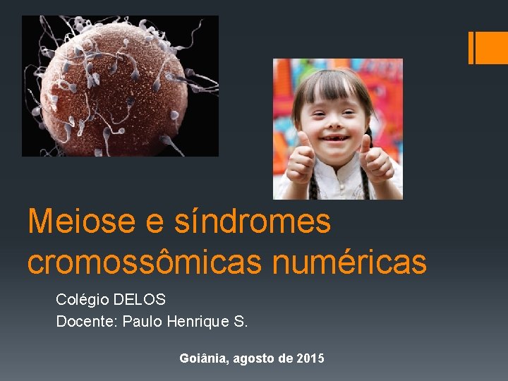 Meiose e síndromes cromossômicas numéricas Colégio DELOS Docente: Paulo Henrique S. Goiânia, agosto de