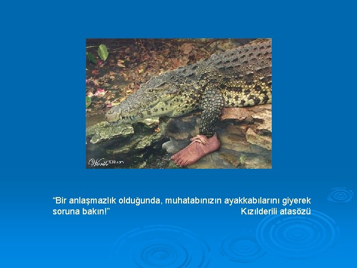 “Bir anlaşmazlık olduğunda, muhatabınızın ayakkabılarını giyerek soruna bakın!” Kızılderili atasözü 