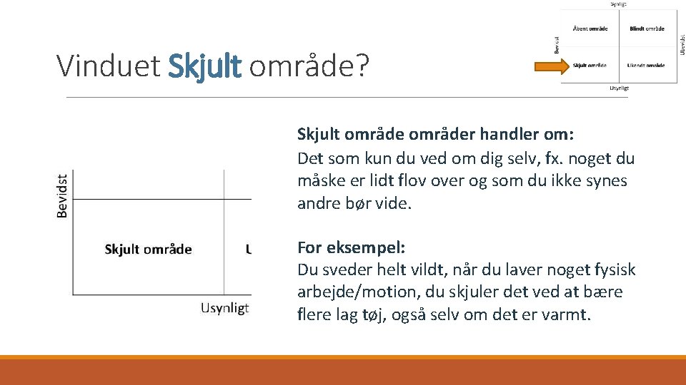 Vinduet Skjult område? Skjult områder handler om: Det som kun du ved om dig