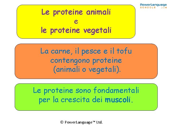 Le proteine animali e le proteine vegetali La carne, il pesce e il tofu Le proteine animali e le proteine vegetali La carne, il pesce e il tofu