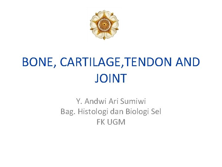 BONE, CARTILAGE, TENDON AND JOINT Y. Andwi Ari Sumiwi Bag. Histologi dan Biologi Sel