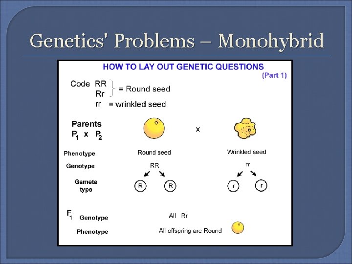 Genetics' Problems – Monohybrid 