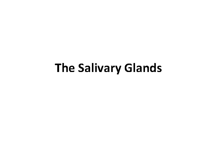 The Salivary Glands 