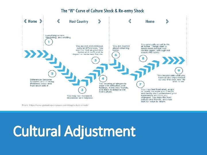Cultural Adjustment 