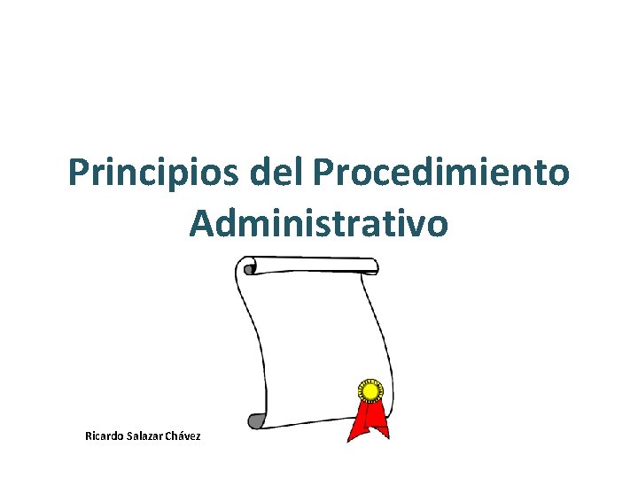 Principios del Procedimiento Administrativo Ricardo Salazar Chávez 