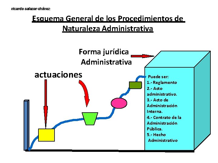 ricardo salazar chávez Esquema General de los Procedimientos de Naturaleza Administrativa Forma jurídica Administrativa