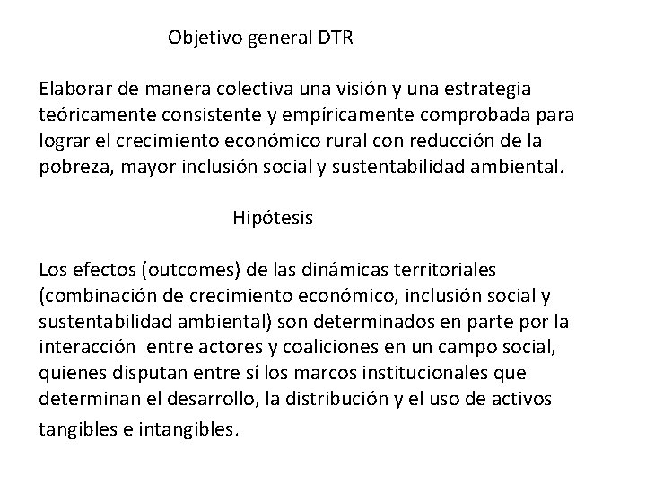 Objetivo general DTR Elaborar de manera colectiva una visión y una estrategia teóricamente consistente