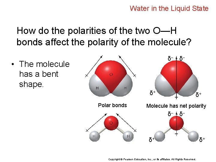 Water in the Liquid State How do the polarities of the two O—H bonds