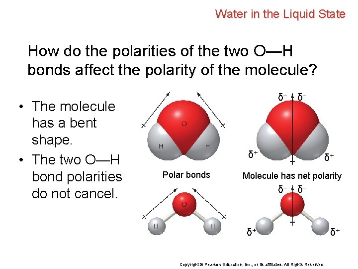 Water in the Liquid State How do the polarities of the two O—H bonds