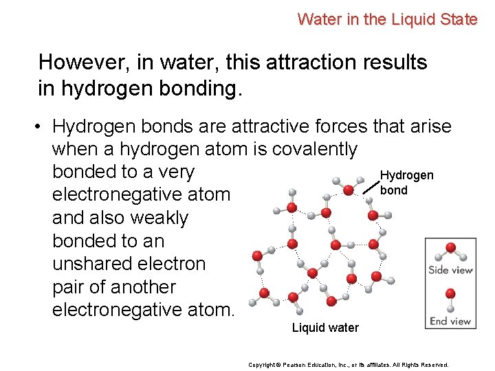 Water in the Liquid State However, in water, this attraction results in hydrogen bonding.