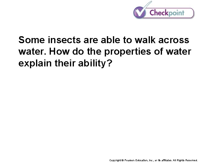 Some insects are able to walk across water. How do the properties of water