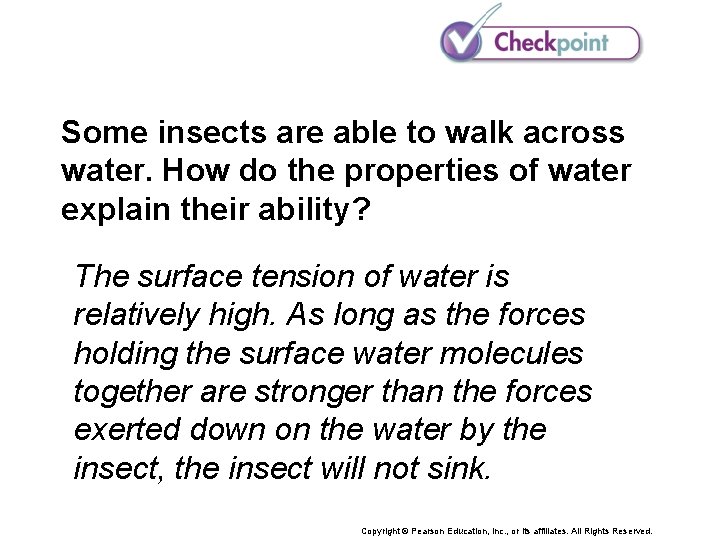 Some insects are able to walk across water. How do the properties of water