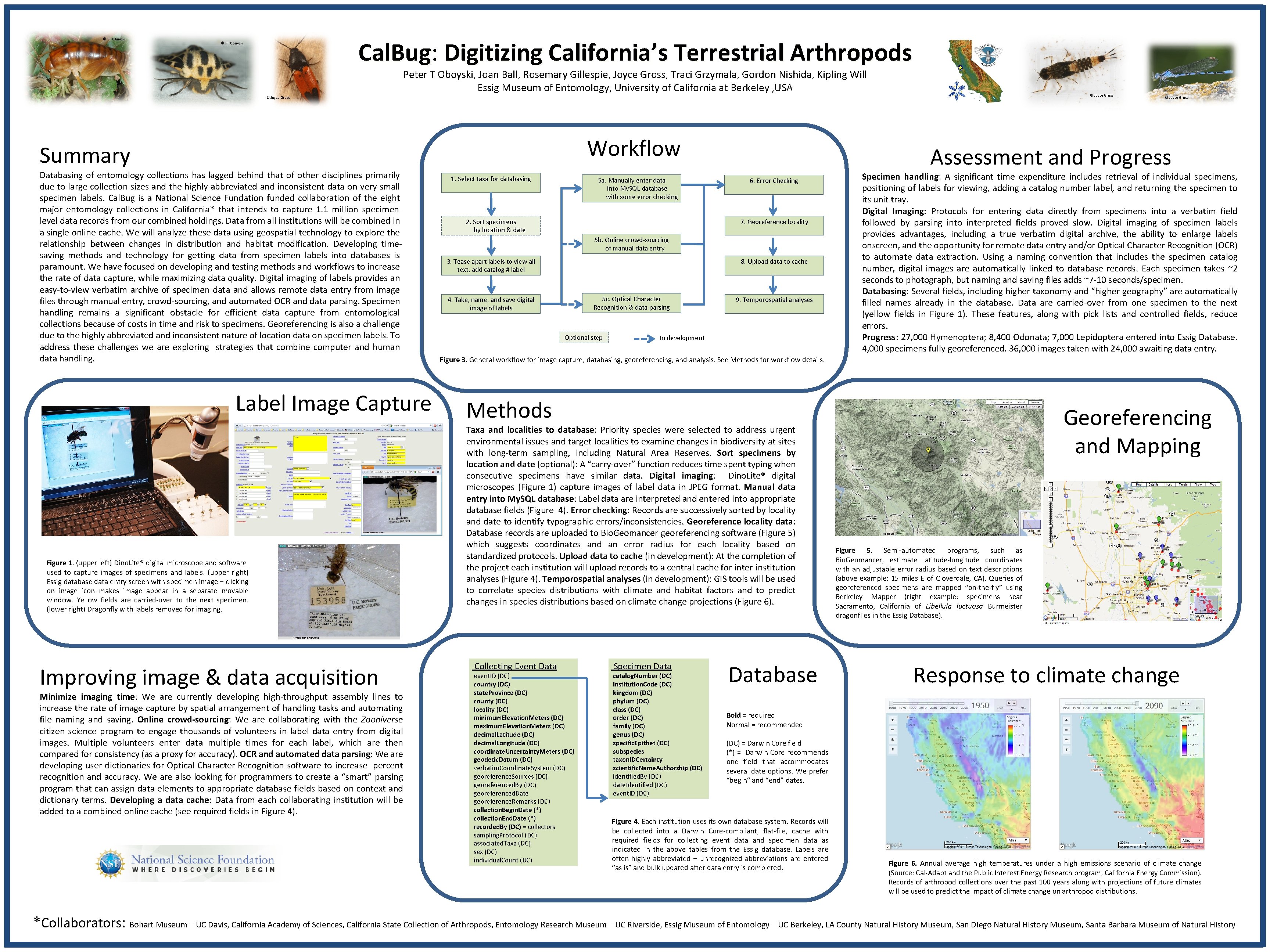 © PT Oboyski Cal. Bug: Cal. Bug Digitizing California’s Terrestrial Arthropods © PT Oboyski