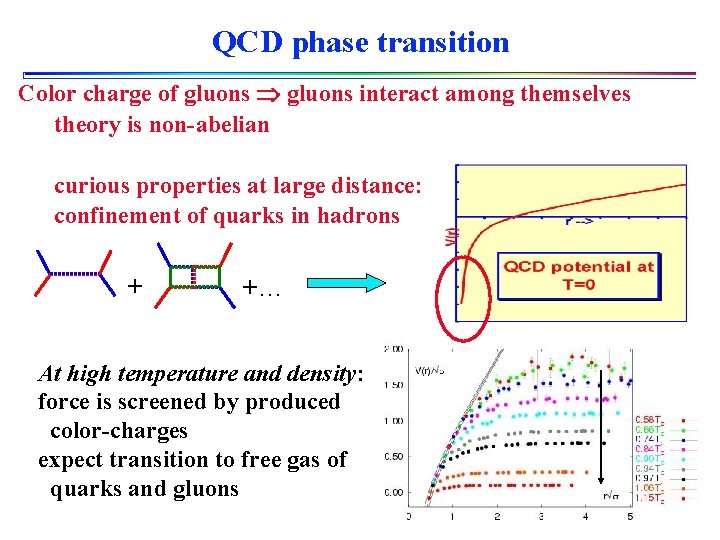 QCD phase transition Color charge of gluons interact among themselves theory is non-abelian curious